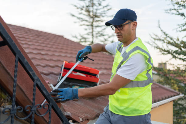 Best Insulation for New Construction  in Big Lake, MN